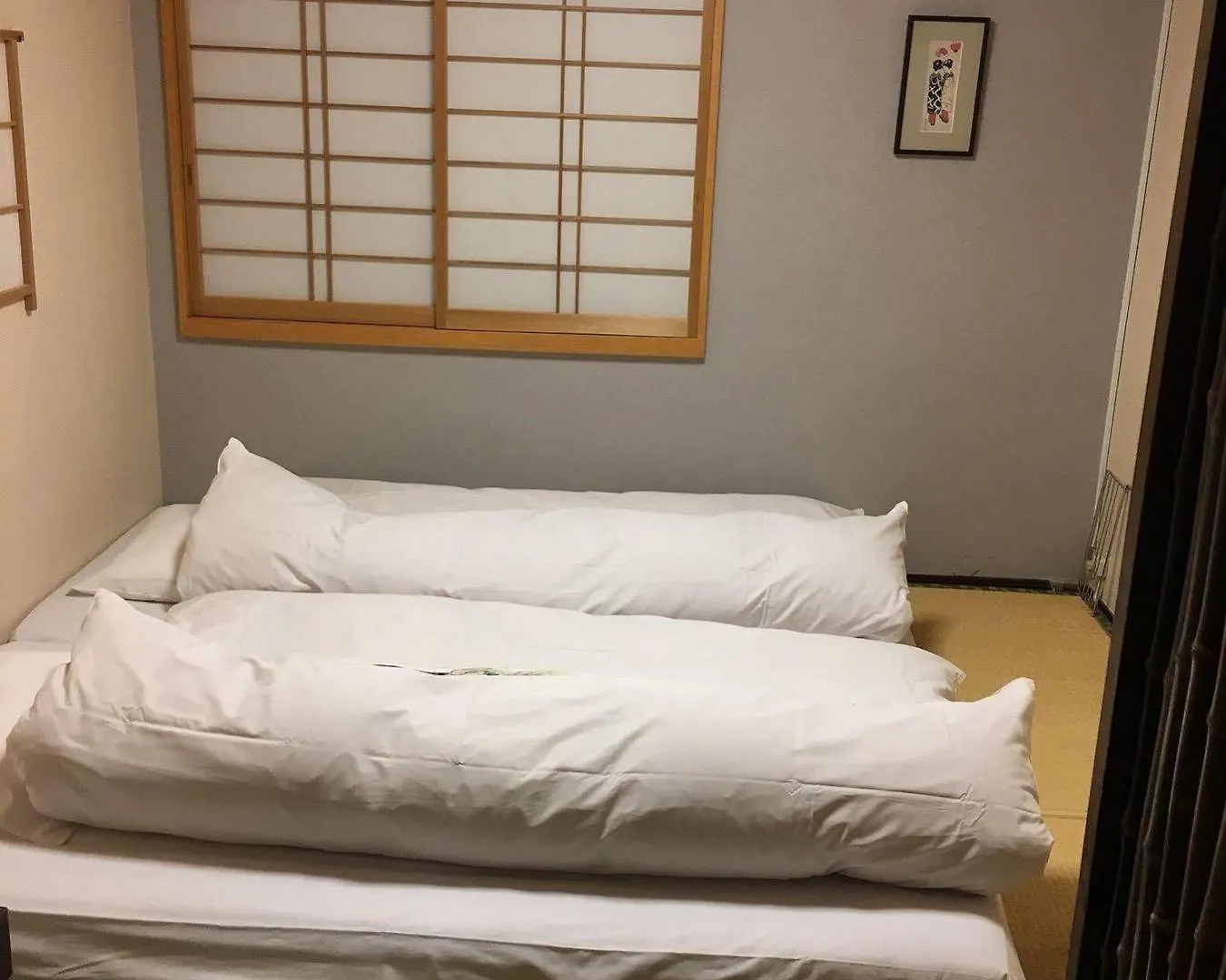 Ryokan Kamogawa Asakusa Tokyo 3*,  Japan