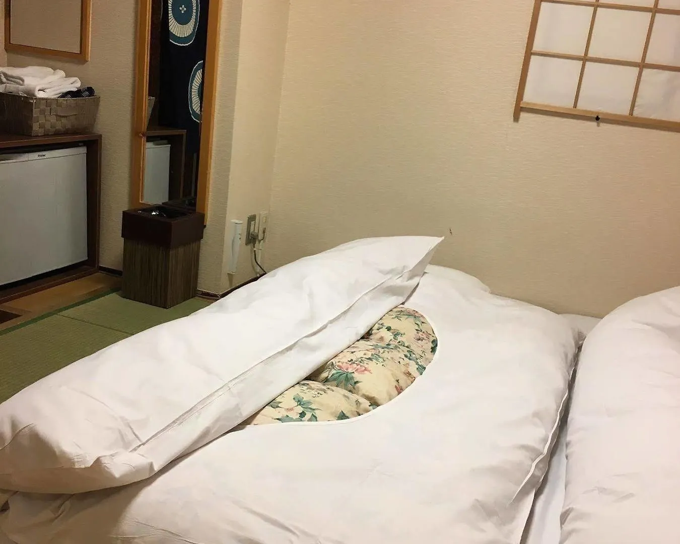 ***  Ryokan Kamogawa Asakusa Tokyo Japan
